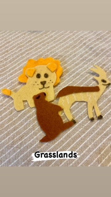 Animals and their Habitats Felt Kit