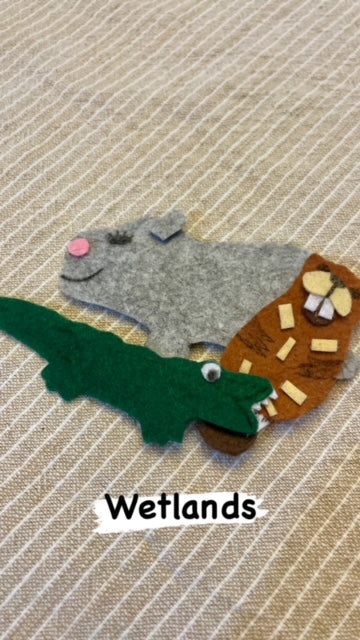 Animals and their Habitats Felt Kit