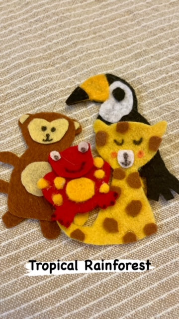 Animals and their Habitats Felt Kit